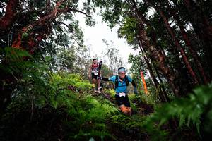 BIB: 
                            <button type="button" onclick="openModal(26201397)" class="btn btn-primary btn-sm float-right btn-popup" data-toggle="modal" data-target=".modal-high-quality">
                        <i class="fas fa-shopping-cart"></i> Add to Cart
                    </button>
                                            <button type="button" onclick="isThisMe(26201397, true)" class="btn btn-success btn-sm float-right btn-popup btn-isme hidden" data-toggle="tooltip" data-placement="bottom" title="นี่คือรูปของคุณใช่ไหม คลิกที่นี่เพื่อเอาเข้าอัลบั้ม">
                        <i class="fas fa-plus"></i> Add to album
                    </button>
                    <button type="button" onclick="isThisMe(26201397, false)" class="btn btn-warning btn-sm float-right btn-popup btn-isnotme hidden">
                        <i class="fas fa-ban"></i> Remove from album
                    </button>